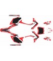 KIT ADHESIVOS CRF 250 14/17 FACTORY HONDA RACING