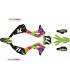 KIT DE ADHESIVOS KX 450 F  24/25  RÉPLICA DAVID AVILES