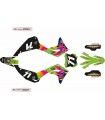 KIT DE ADHESIVOS KX 450 F  24/25  RÉPLICA DAVID AVILES