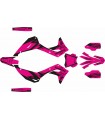 KIT DE ADHESIVOS KX 450 F  2024 FUCSIA