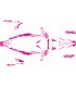 Adhesivos HUSQVARNA FE/TE ROSA / BLANCO