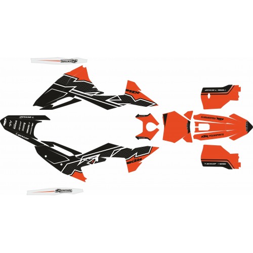 copy of KIT ADHESIVOS BETA RR 2013