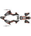 copy of KIT ADHESIVOS BETA RR 2013