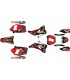 Adhesivos YAMAHA YZF 250/450 06/09 No Fear